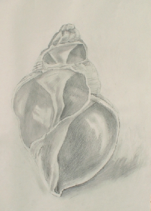 Shell 